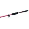 DIG IN ANCHORS Shallow Water Anchors Shallow Water Anchor Poles, Pink -Anchoring Sales 14718639